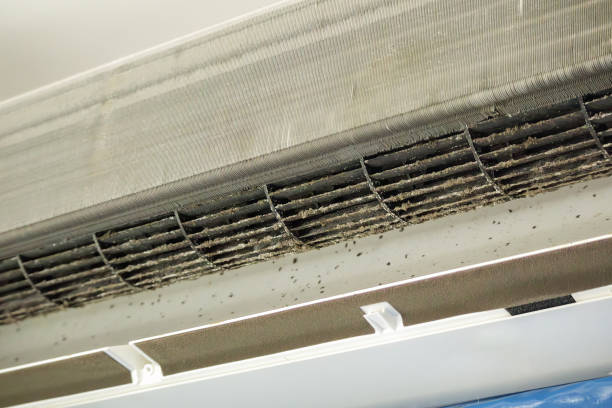 Best Air Duct Cleaning Near Me  in Eufaula, OK